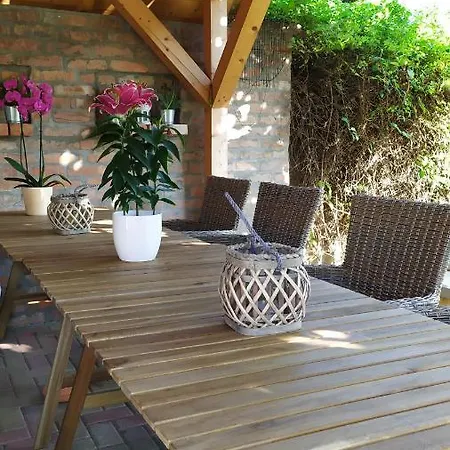 Leander * بالاتوليلّي