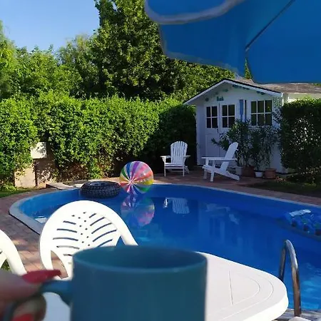 Leander בלטונללה