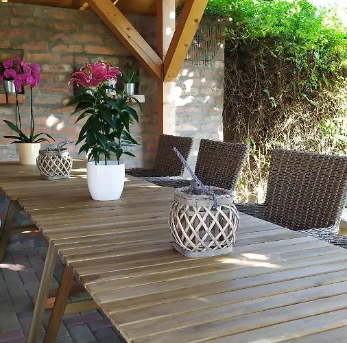 Leander * Balatonlelle